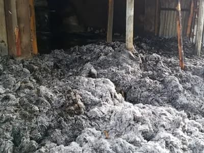 হালুয়াঘাটে তুলার গুদাম পুড়ে ছাই, ২৫ লাখ টাকা ক্ষতির দাবি