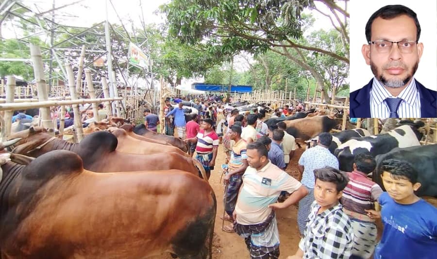 কোরবানির হাটে কৃত্রিমভাবে মোটাতাজা পশু বিষয়ে বাকৃবি’র প্রাণী বিশেষজ্ঞের সর্তকবার্তা  