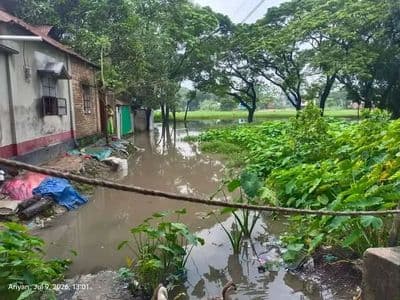 গফরগাঁওয়ে জলাবদ্ধতা : ভোগান্তি পৌরবাসীর