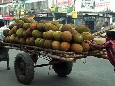 চীন কেন বাংলাদেশ থেকে কাঁঠাল নিতে চায়?