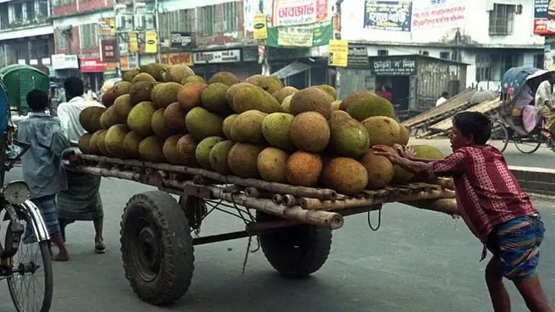 চীন কেন বাংলাদেশ থেকে কাঁঠাল নিতে চায়?
