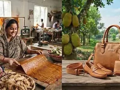 কাঁঠালের খোসা থেকে পরিবেশবান্ধব ‘চামড়া’, বাংলাদেশের অপার সম্ভাবনা