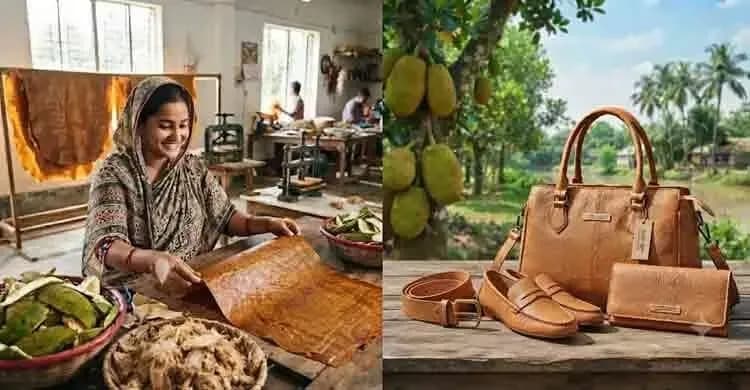 কাঁঠালের খোসা থেকে পরিবেশবান্ধব ‘চামড়া’, বাংলাদেশের অপার সম্ভাবনা