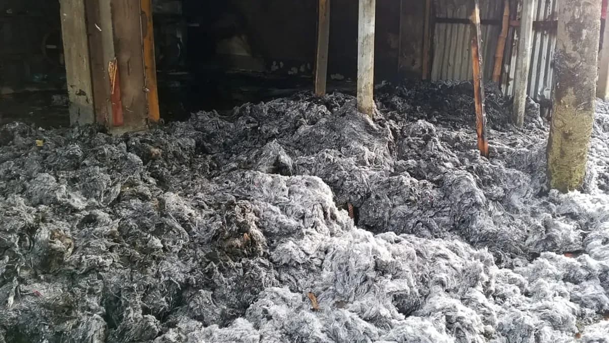 হালুয়াঘাটে তুলার গুদাম পুড়ে ছাই, ২৫ লাখ টাকা ক্ষতির দাবি