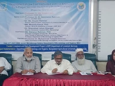 বাকৃবির গবেষণায় হাঁসের প্লেগ টিকায় ইতিবাচক ফল, সুরক্ষা ৯০ শতাংশ