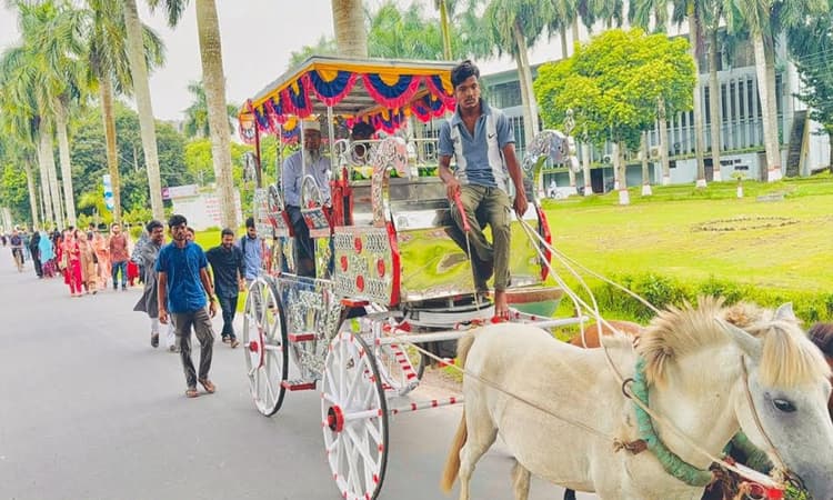 বাকৃবিতে ৩৮ বছরের শিক্ষকতা শেষে অধ্যাপকের রাজকীয় বিদায়