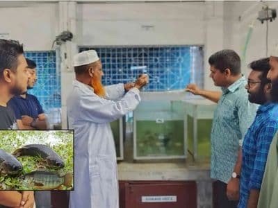 অভায়ারণ্য আড়িয়াল বিলের কইসহ দেশীয় ছোট ৫ প্রজাতির মাছে মাইক্রোপ্লাস্টিকের উপস্থিতি শনাক্ত
