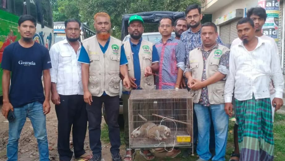হালুয়াঘাটে পাচারের সময় দুটি বিপন্ন লজ্জাবতী বানর উদ্ধার
