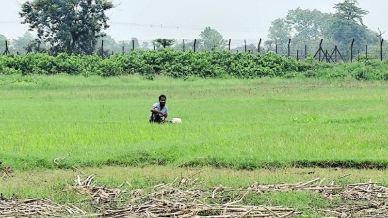 দেওয়ানগঞ্জ সীমান্তে পুশইনের চেষ্টা, বিজিবির বাধায় শূন্যরেখায় যুবক