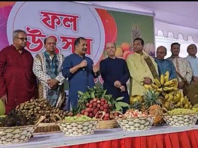 ফল উৎসবের সংস্কৃতি তৃণমূল পর্যায়ে ছড়িয়ে দেওয়ার আহ্বান তথ্যমন্ত্রীর