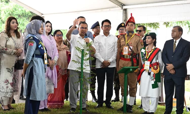 মাধ্যমিক বিদ্যালয়ে বৃক্ষরোপণ কর্মসূচির উদ্বোধন করলেন প্রধানমন্ত্রী