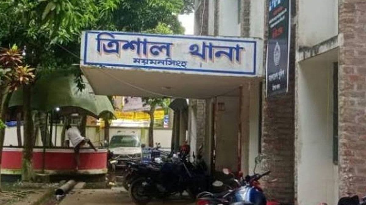 ছোট ভাইকে বাঁচাতে গিয়ে প্রাণ গেল বড় ভাইয়ের
